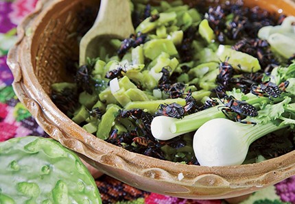 XAMUES: UNA DELICIA PREHISPÁNICA QUE VALE LA PENA APRENDER A COCINAR