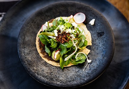 GASTRONOMÍA TRADICIONAL EN RIESGO, ALIMENTOS MEXICANOS EN PELIGRO DE EXTINCIÓN