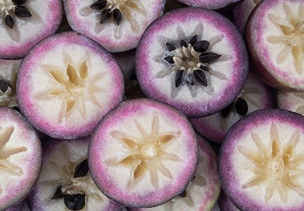 ¿QUÉ ES EL CAIMITO? LA FRUTA TÍPICA DE YUCATÁN Y EL CARIBE QUE PREVIENE LA DIABETES